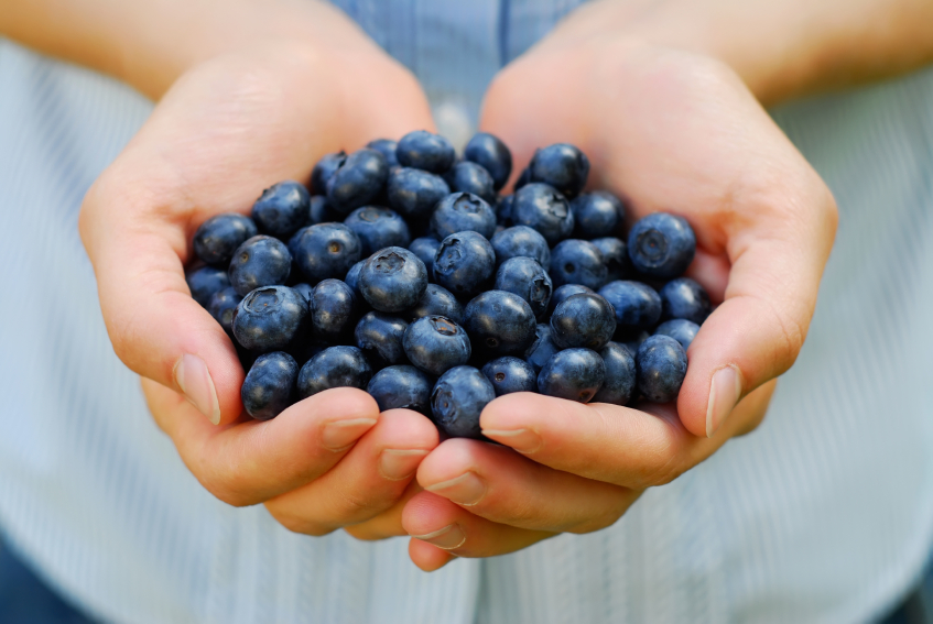wellhealthorganic.com: blueberry-brain-boosting-benefits